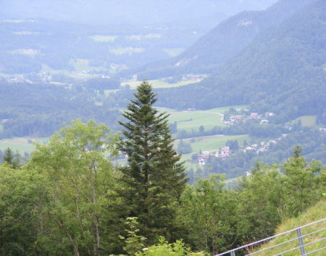 Nature / Landscapes